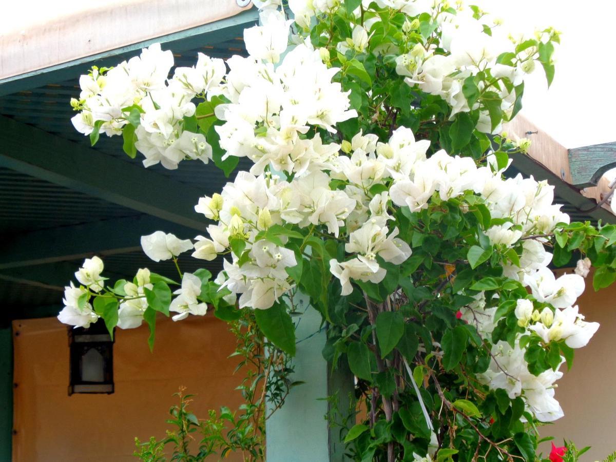 Riad Sesame Marrakesh Exterior foto